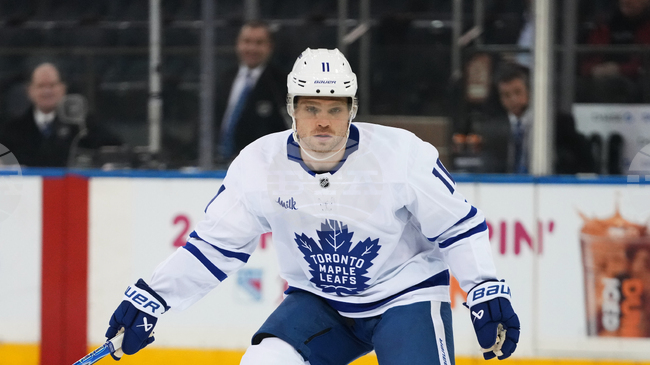 Maple Leafs Hockey Domi