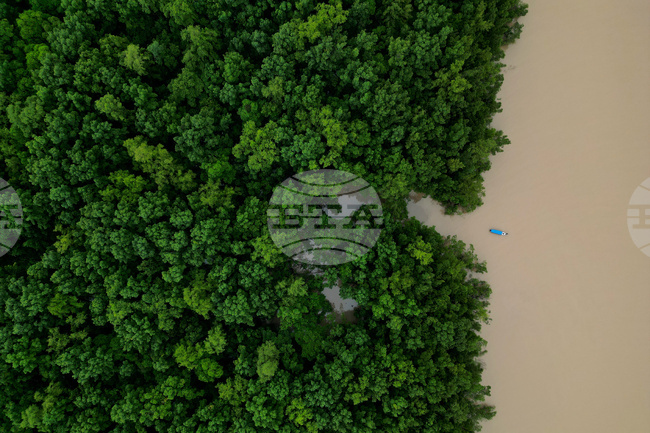 Brazil Amazon Ecological Investment
