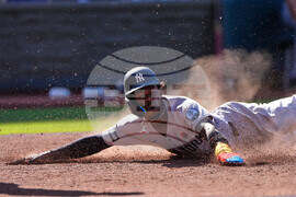APTOPIX Yankees Royals Baseball