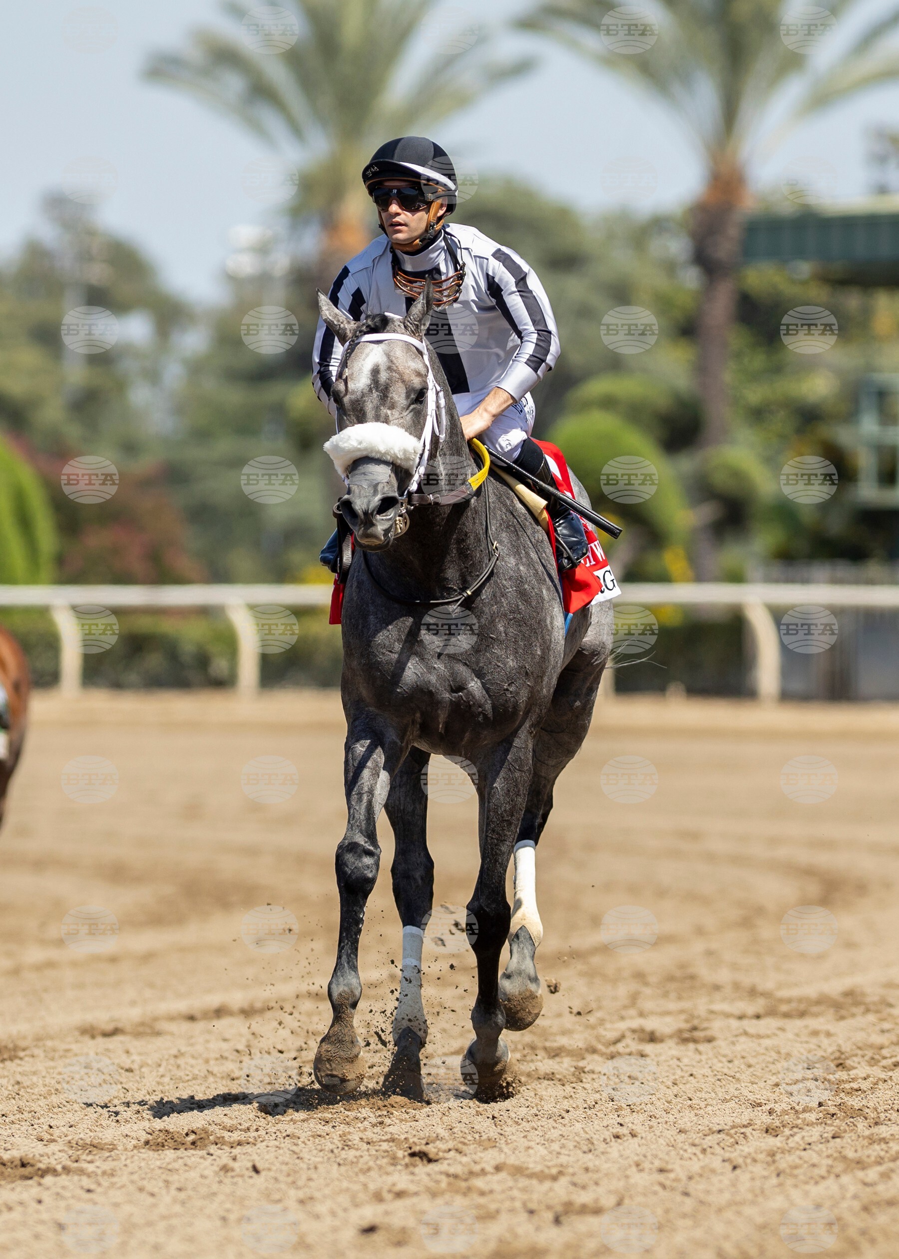 Santa Anita Horse Racing