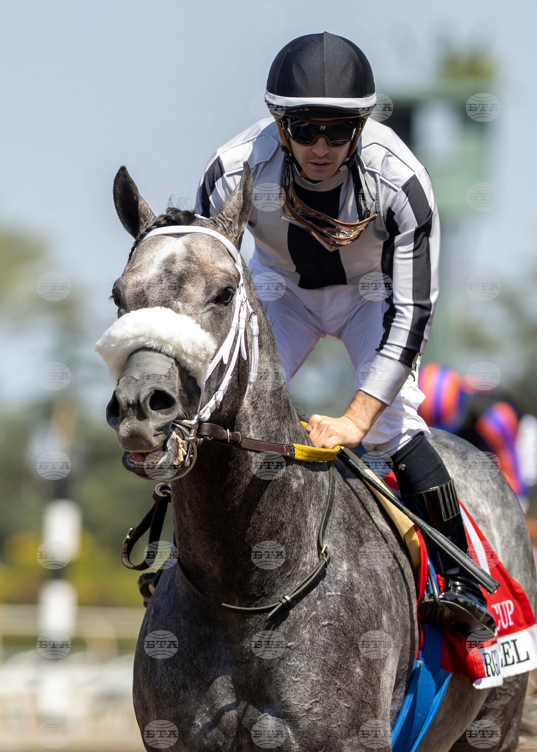 Santa Anita Horse Racing