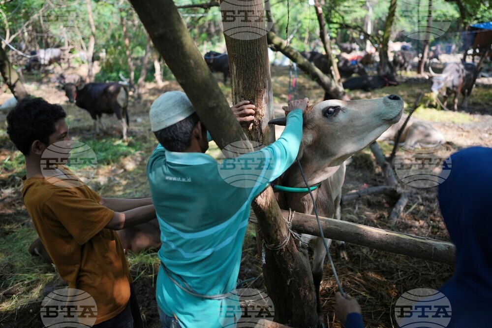 Indonesia Eid al Adha