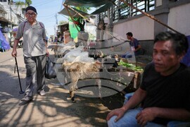 Indonesia Eid al Adha