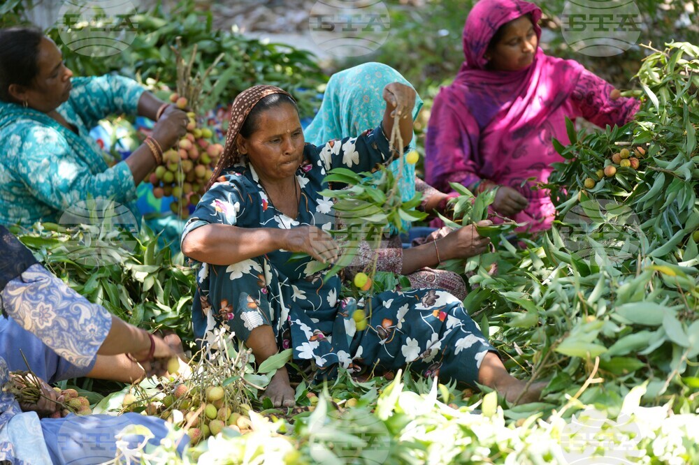 India Daily Life