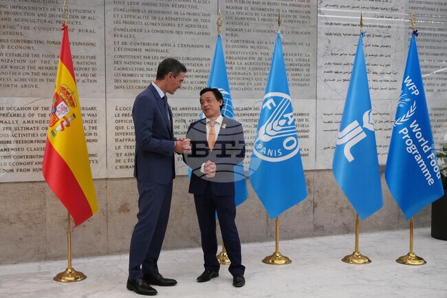 Italy FAO Sanchez