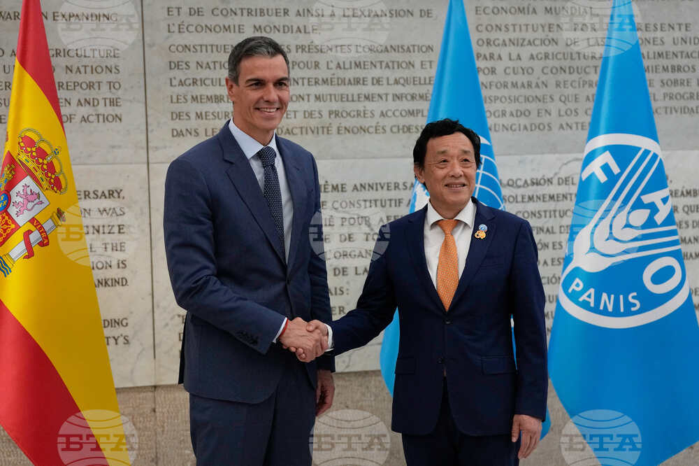Italy FAO Sanchez