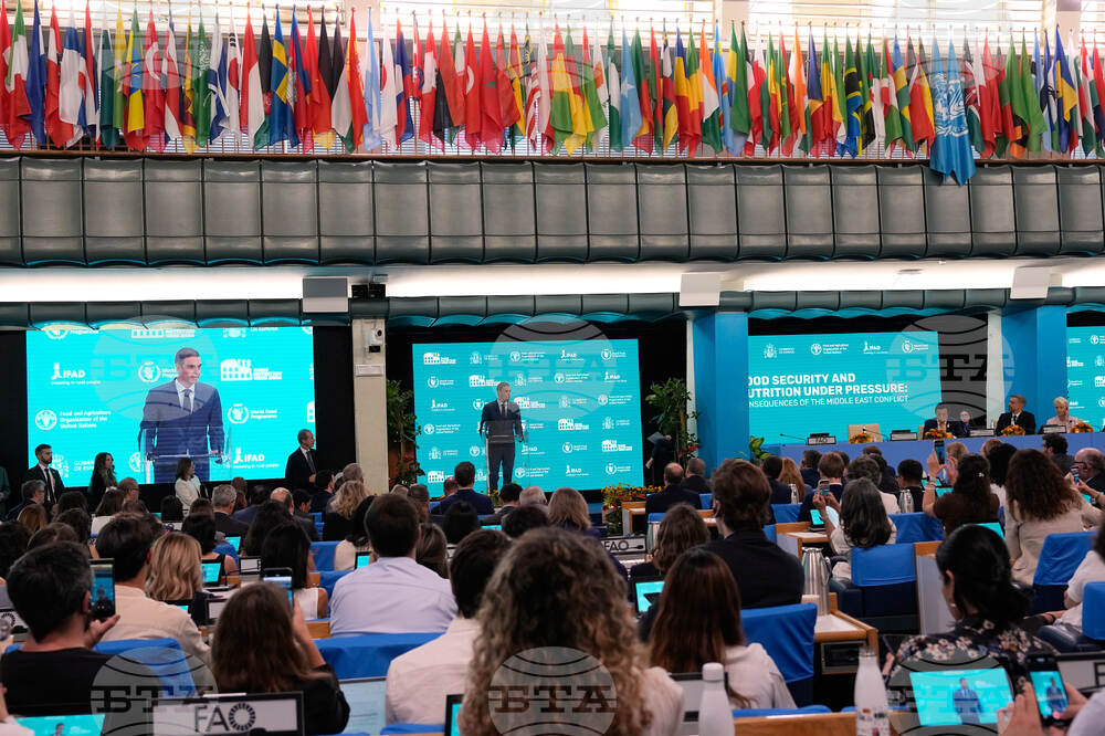 Italy FAO Sanchez