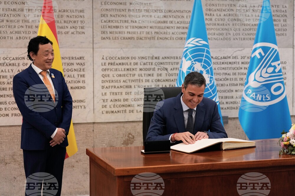 Italy FAO Sanchez