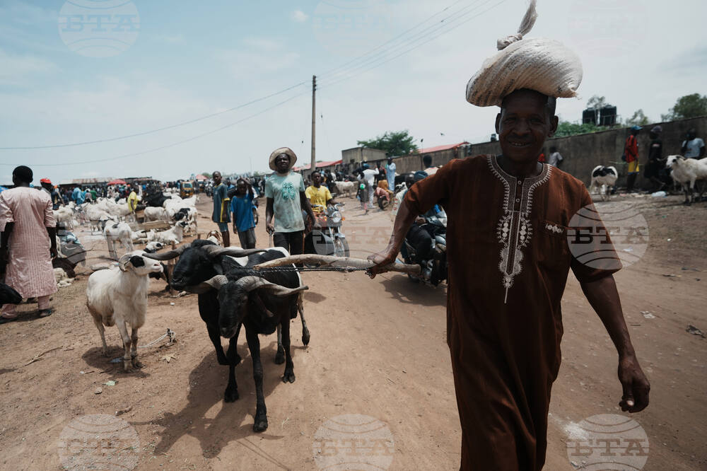 Nigeria Eid Al-Adha