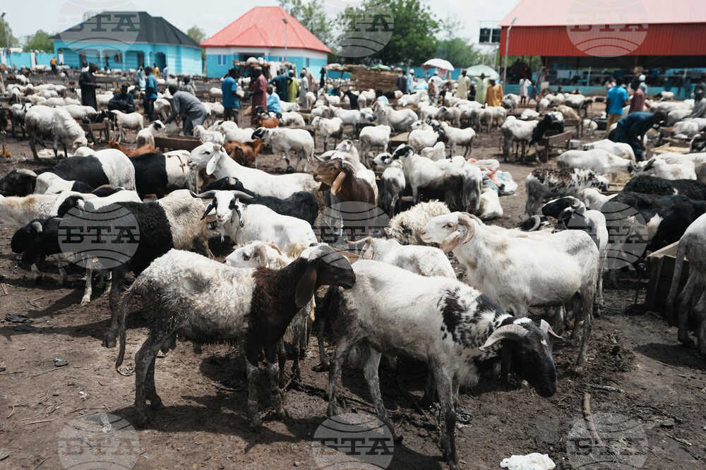 Nigeria Eid Al-Adha