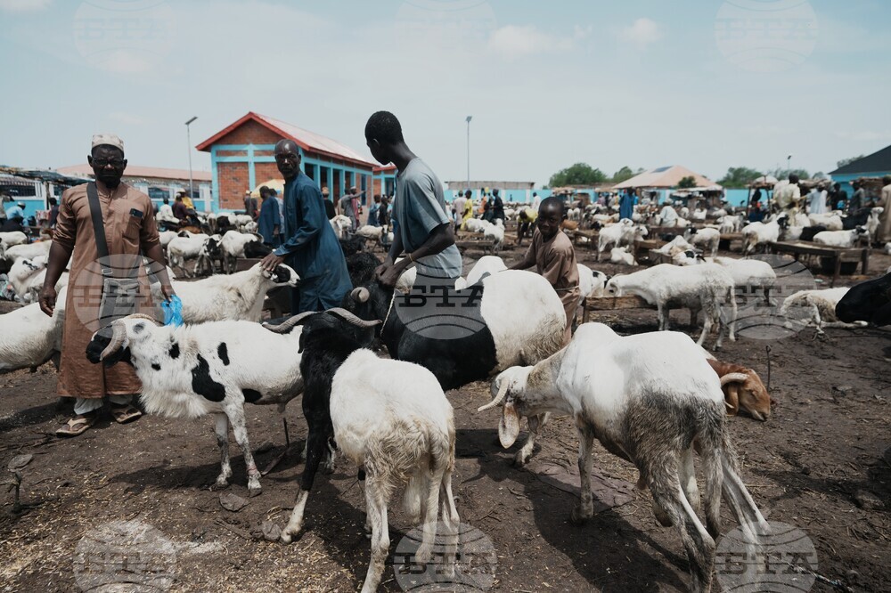 Nigeria Eid Al-Adha