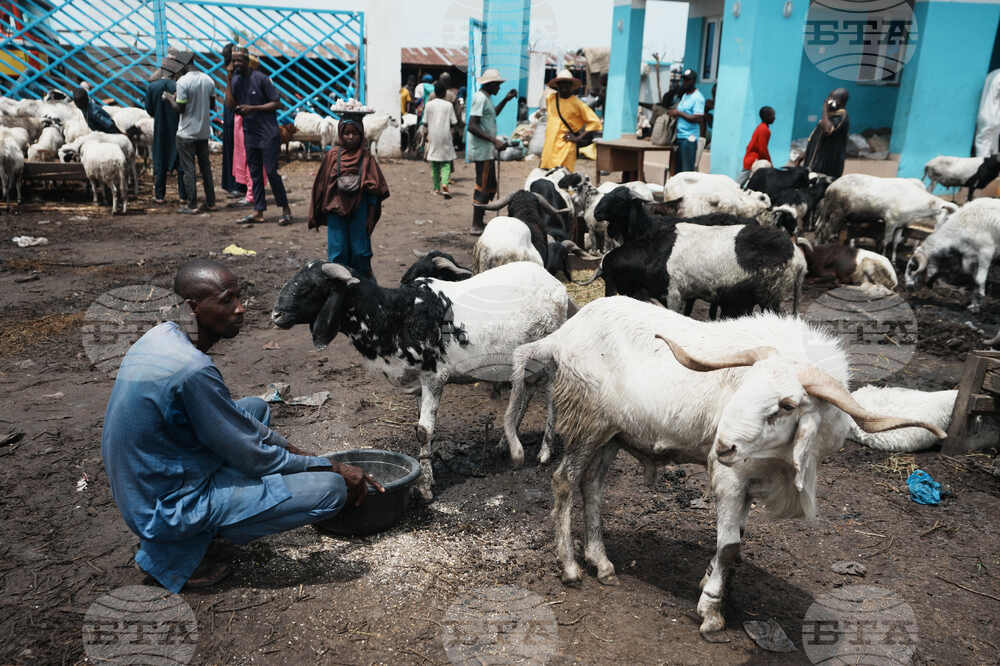 Nigeria Eid Al-Adha