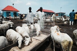 Nigeria Eid Al-Adha