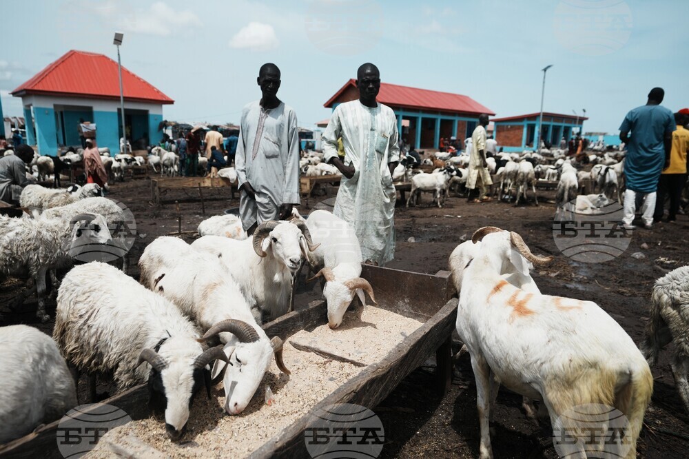 Nigeria Eid Al-Adha