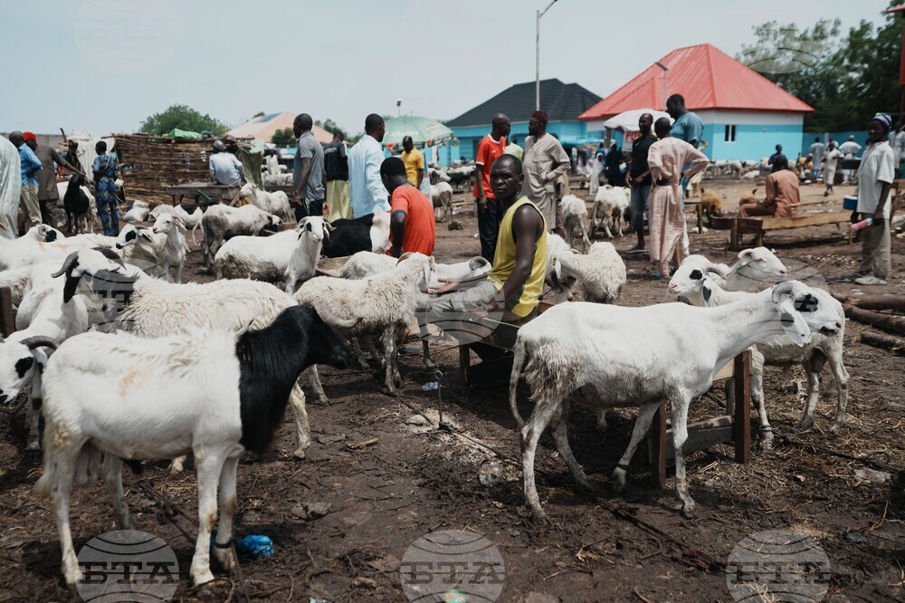 Nigeria Eid Al-Adha