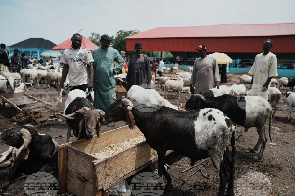 Nigeria Eid Al-Adha