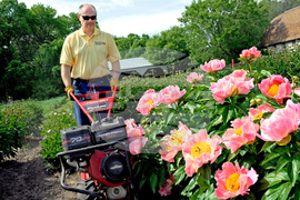 Gardening - Debunking Myths