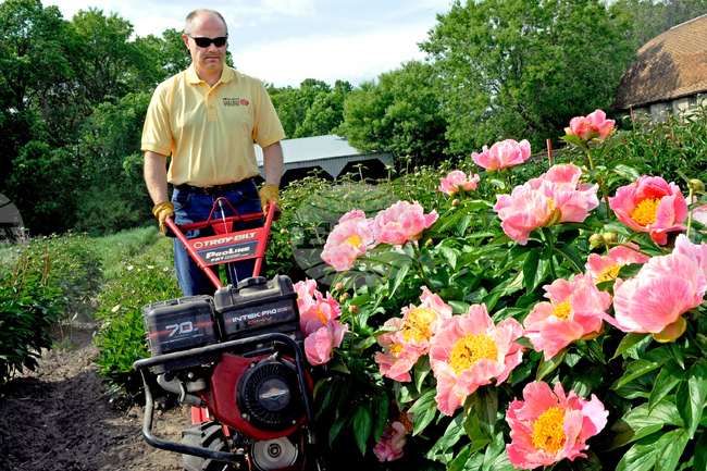 Gardening - Debunking Myths