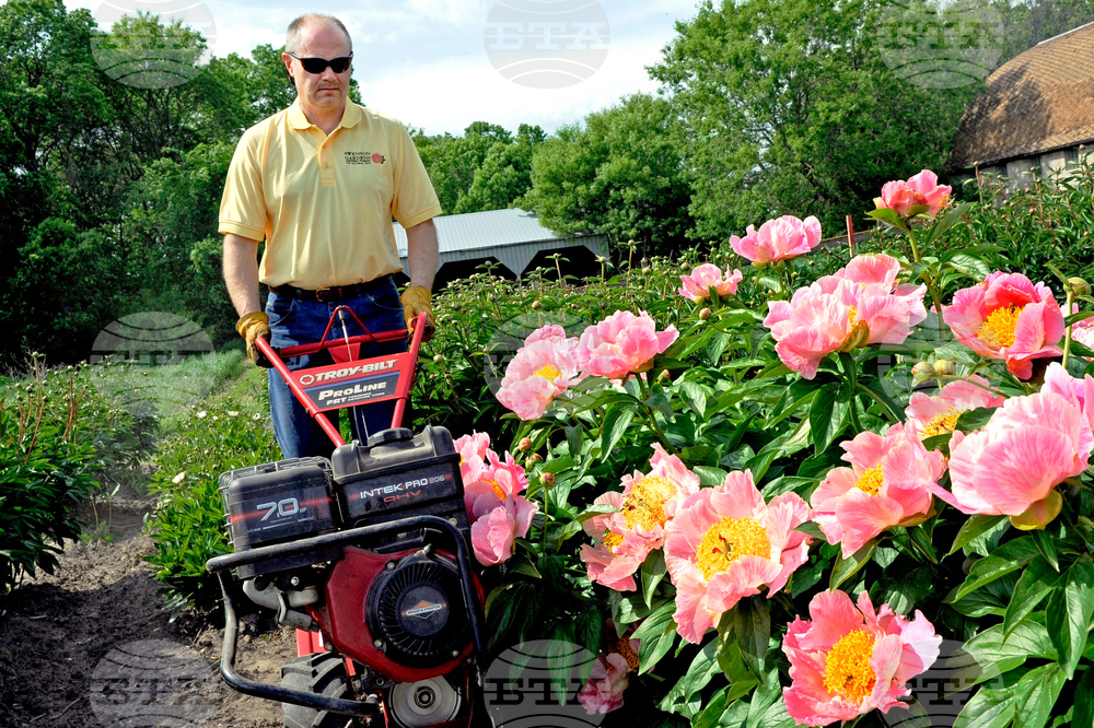 Gardening - Debunking Myths