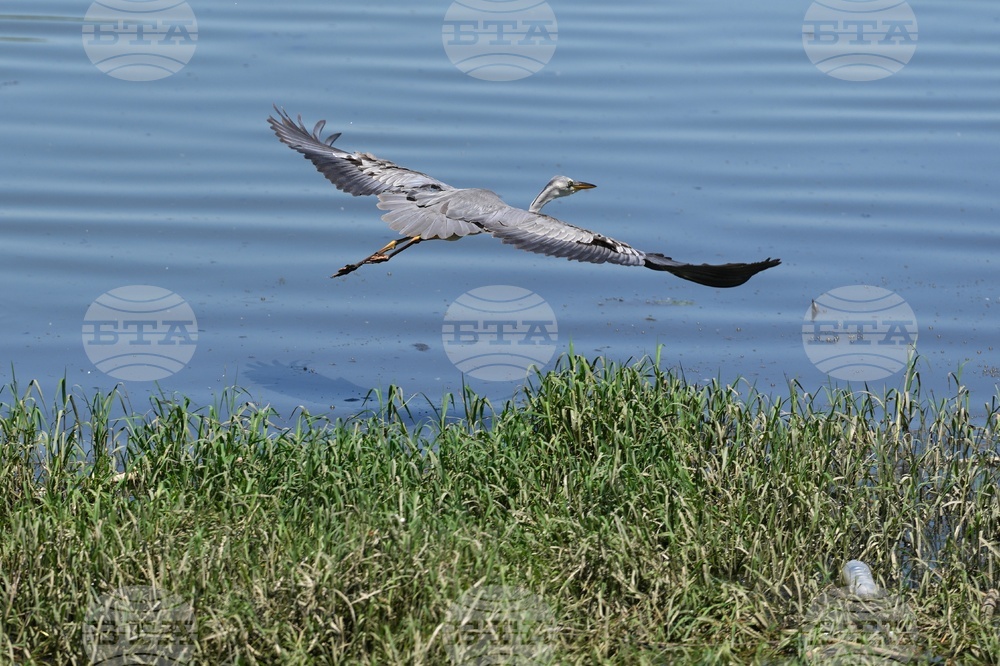 Serbia Wildlife