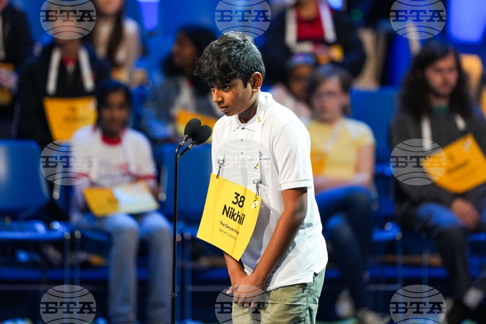 Spelling Bee