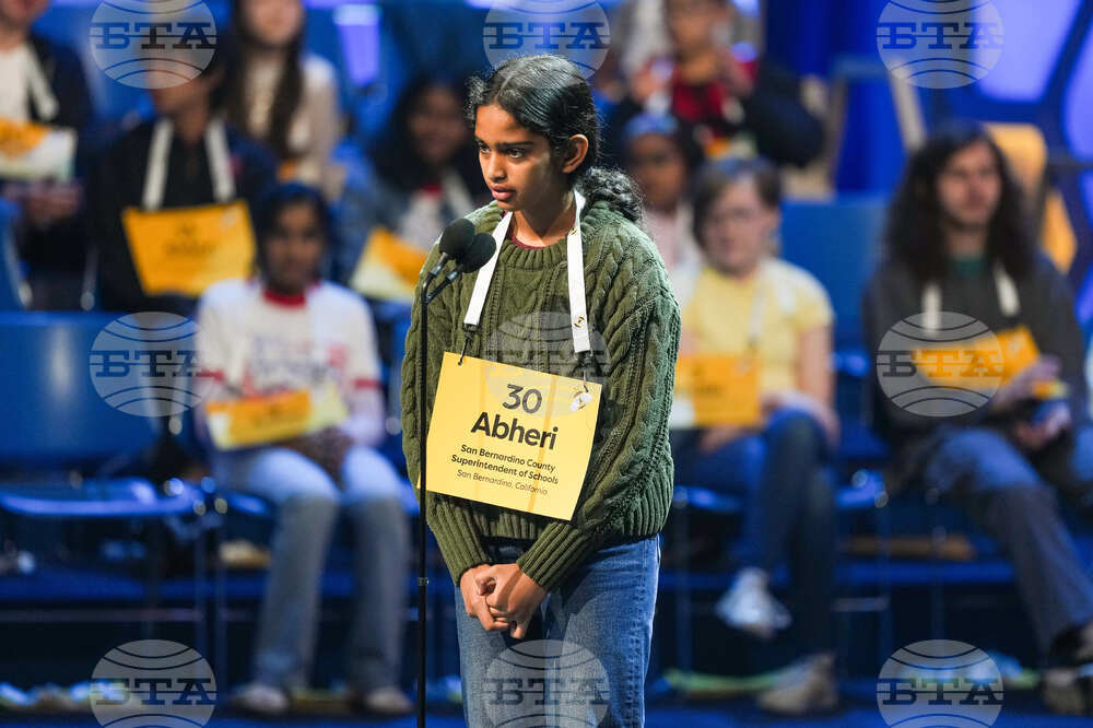 Spelling Bee