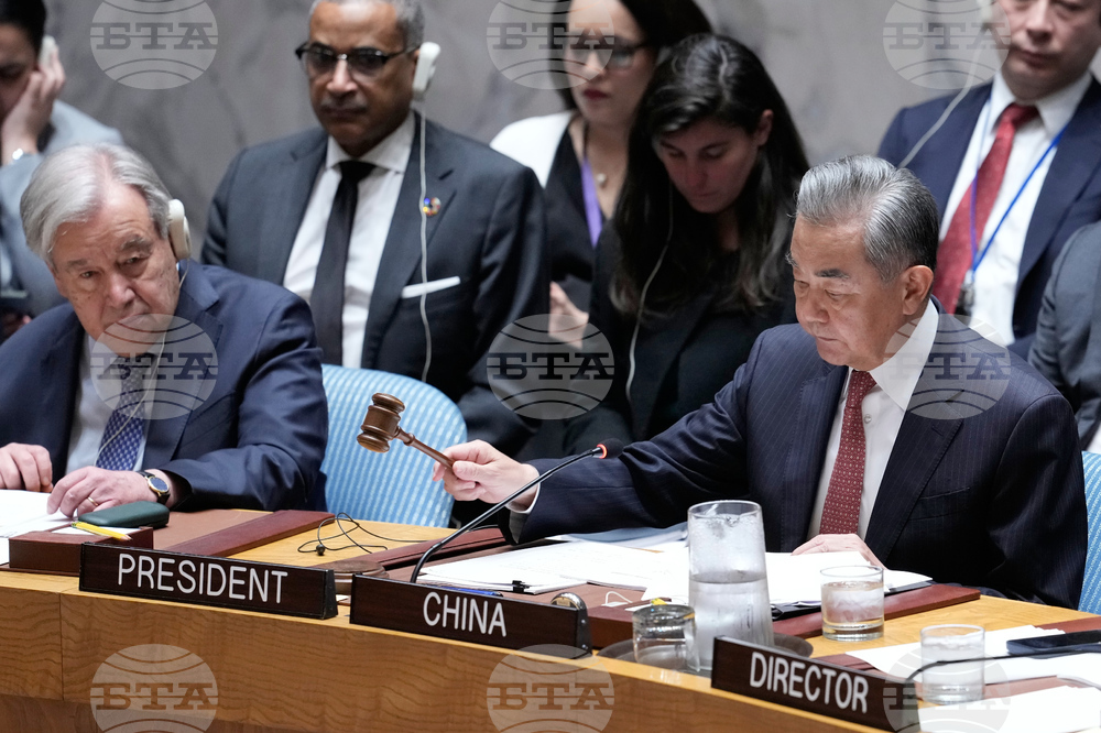 UN Security Council