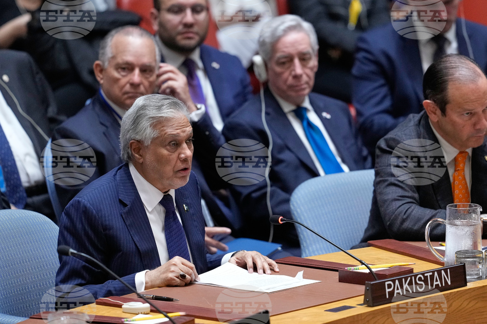 UN Security Council