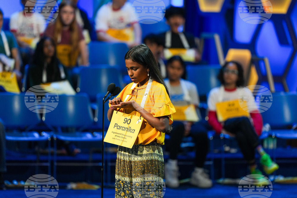 Spelling Bee