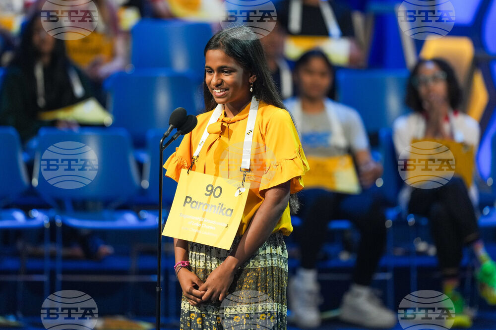 Spelling Bee