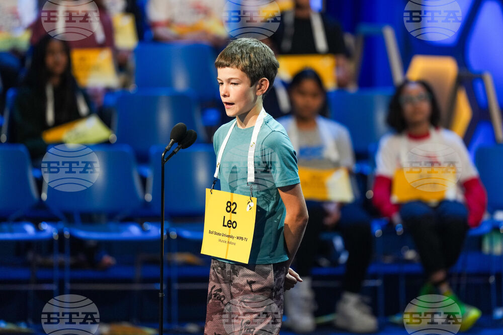 Spelling Bee