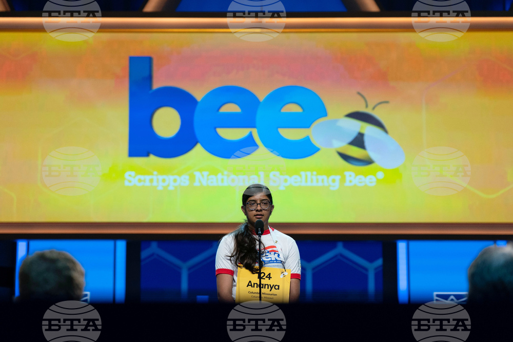 Spelling Bee