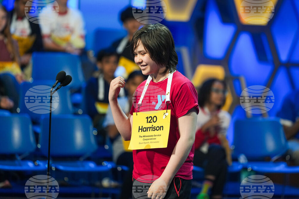 Spelling Bee