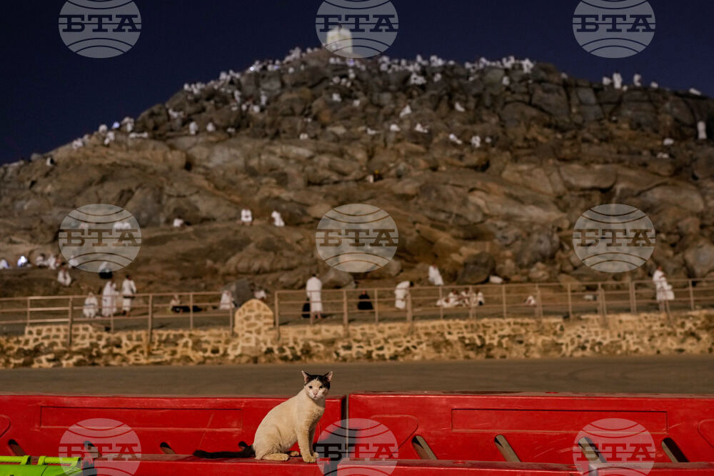 Saudi Arabia Hajj
