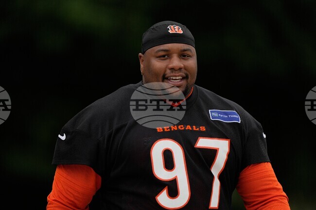 Bengals Football
