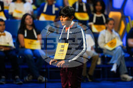 Spelling Bee