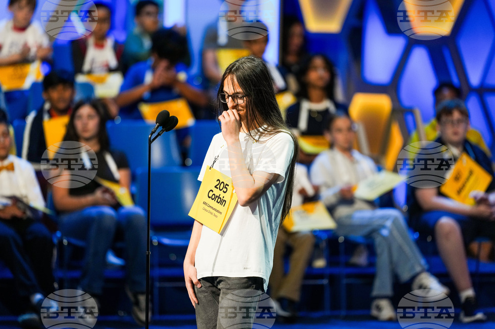 Spelling Bee