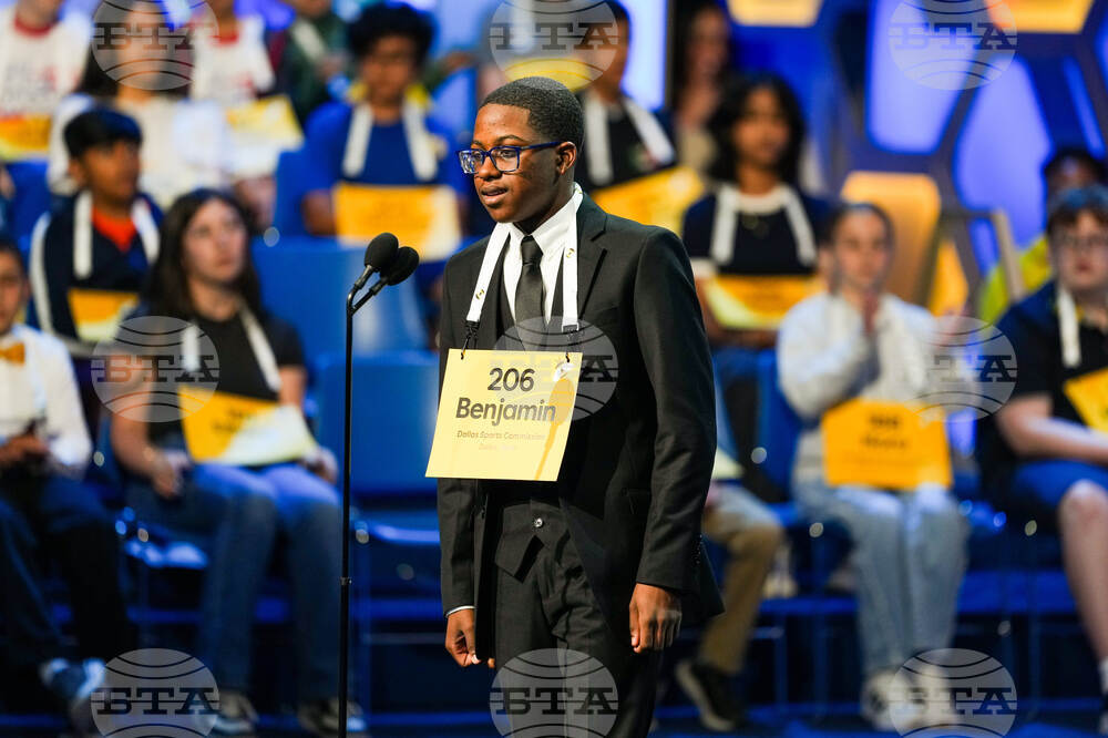Spelling Bee