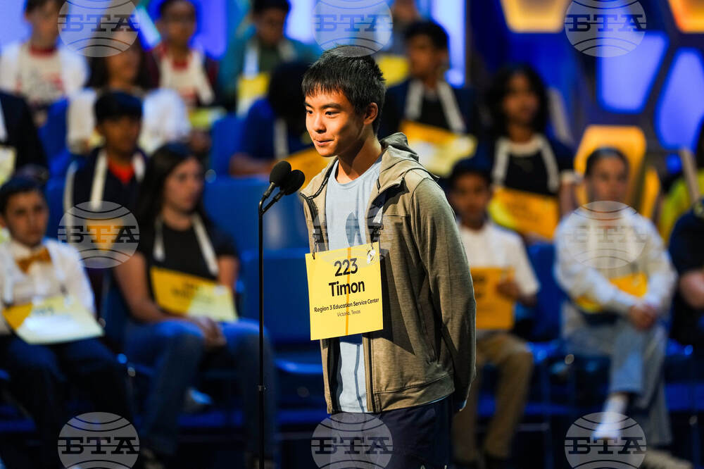 Spelling Bee