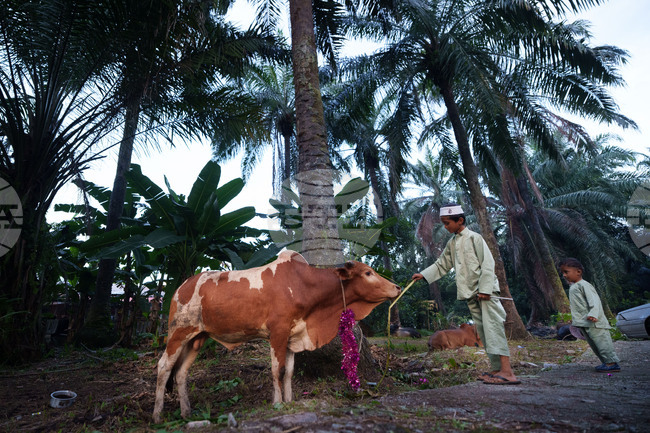 Malaysia Eid al-Adha