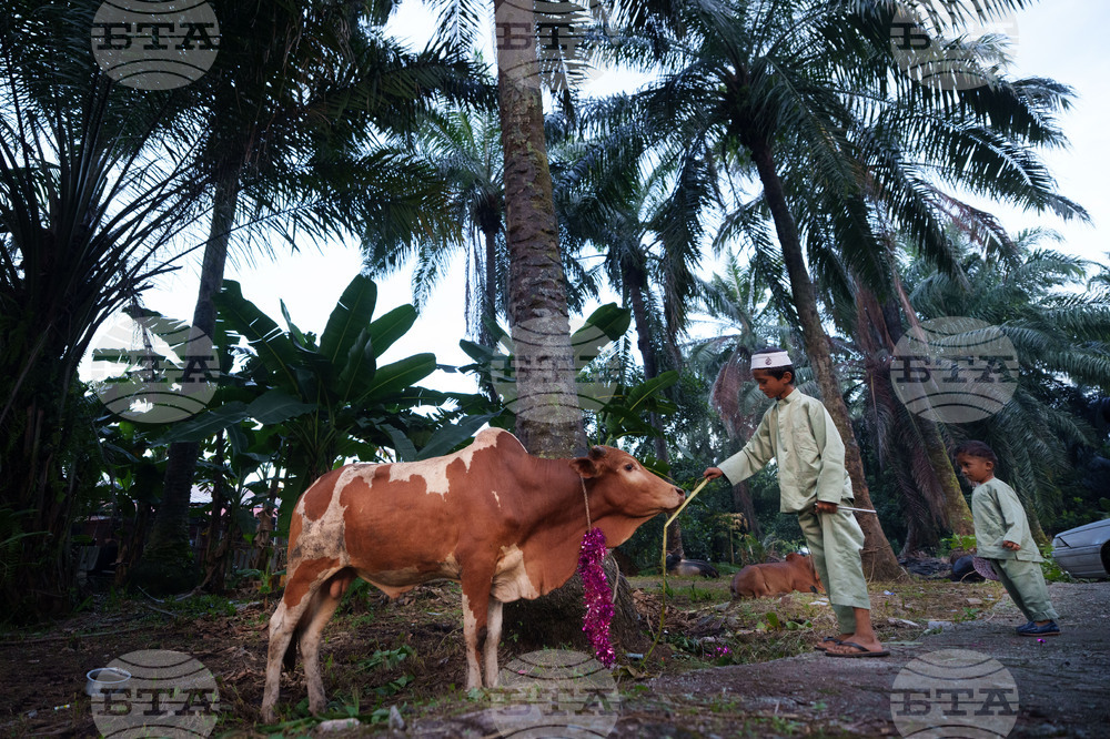 Malaysia Eid al-Adha