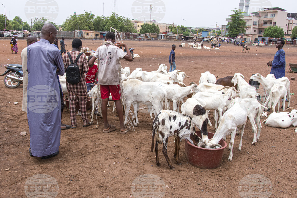 Mali Eid