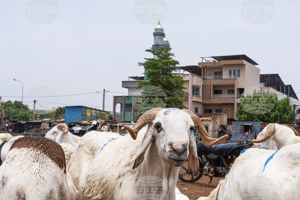 Mali Eid