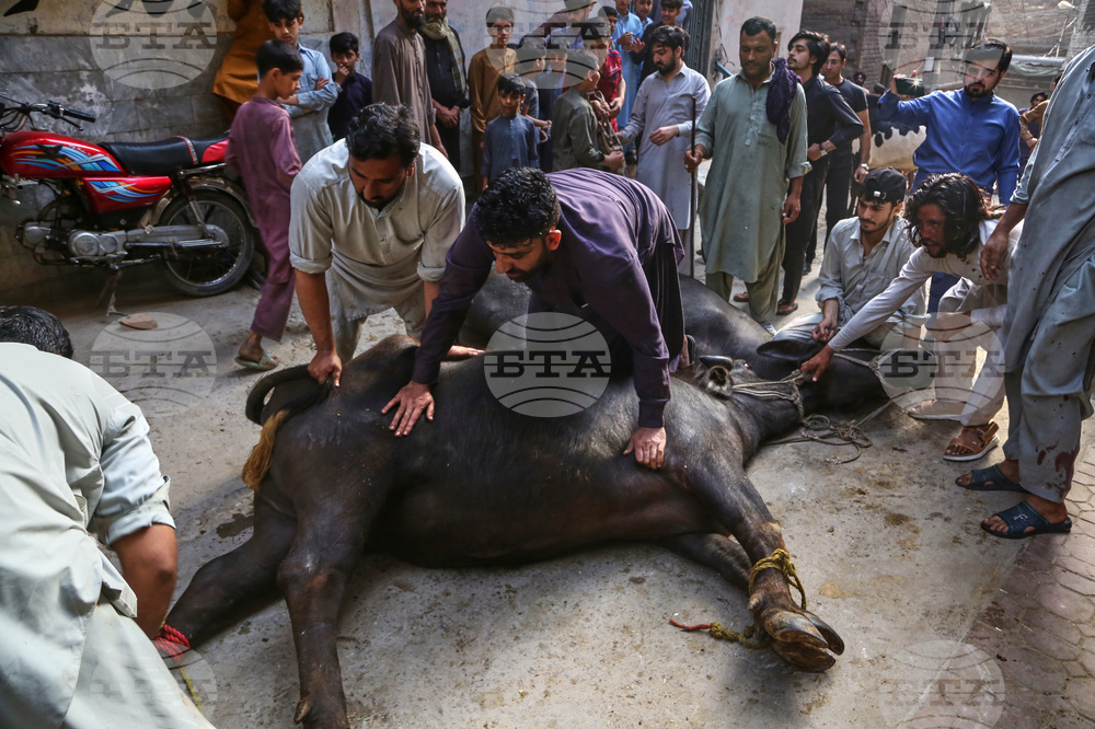 Pakistan Eid al-Adha