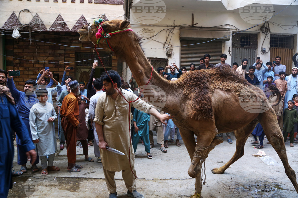 Pakistan Eid al-Adha