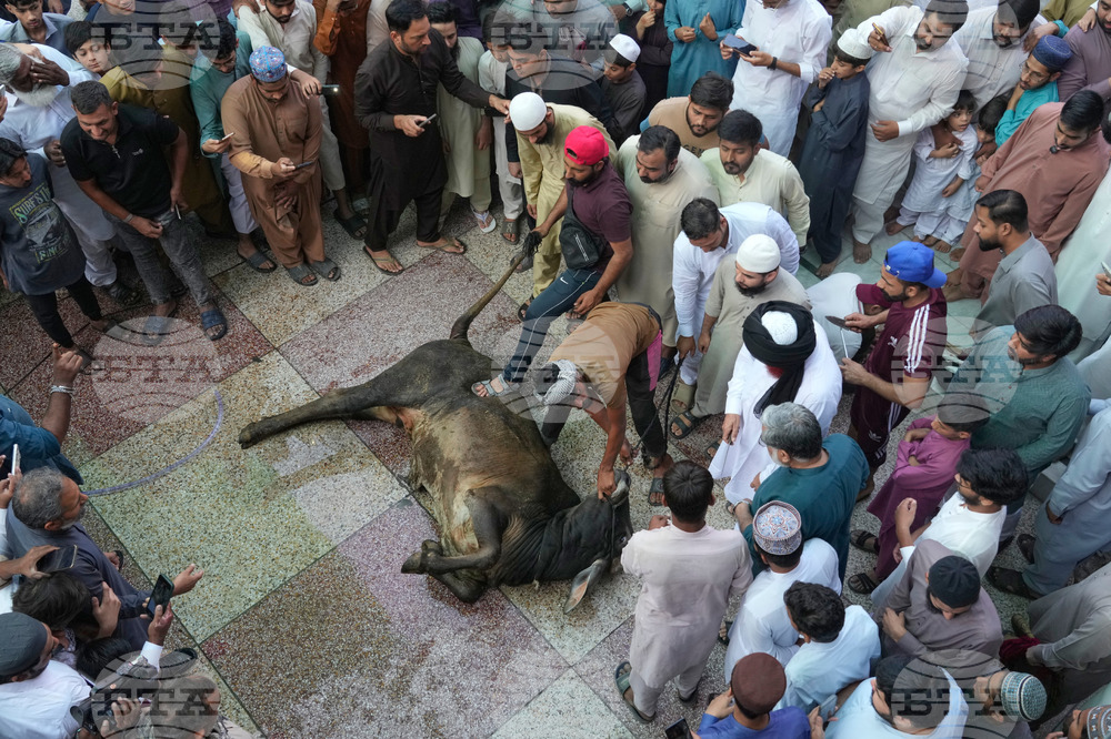 Pakistan Eid al-Adha