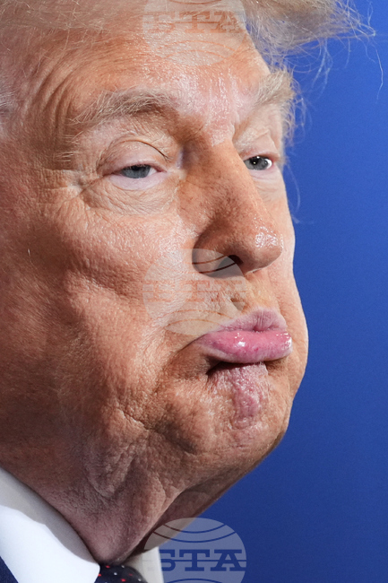 Trump New York