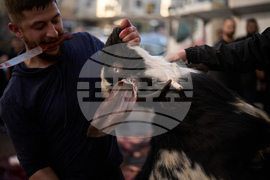 Israel Palestinians Eid Al Adha