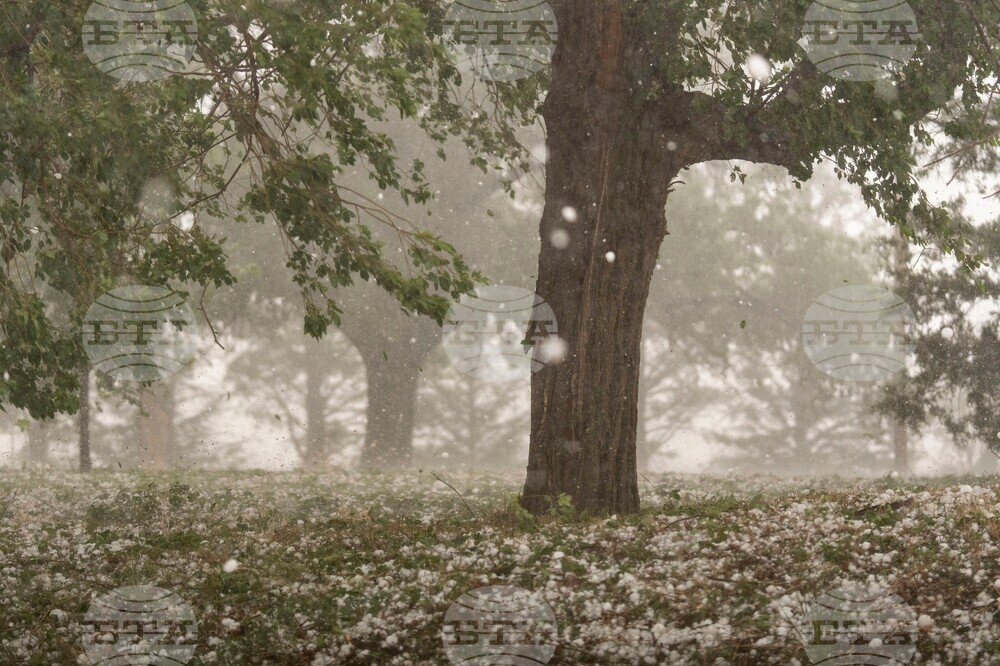 Climate Hailstone Changes