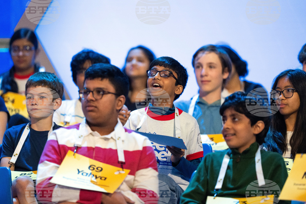 Spelling Bee